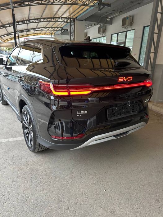 Byd chempion 2025 yil  10000 prabeg