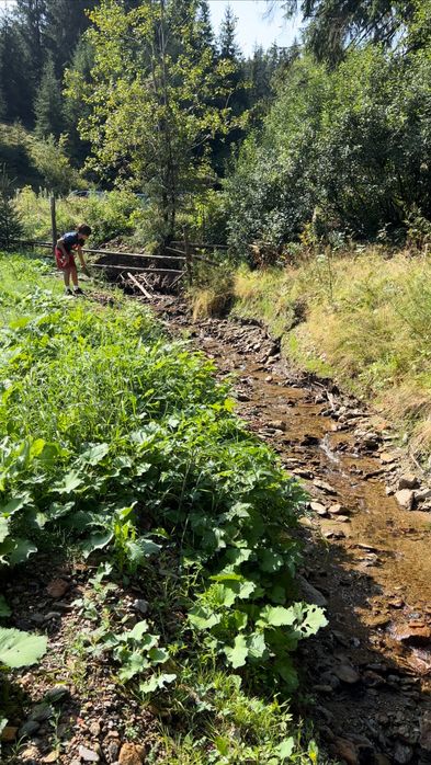 Teren,500mp, Vatra Dornei, langa telescaun, asfalt, zona deosebita