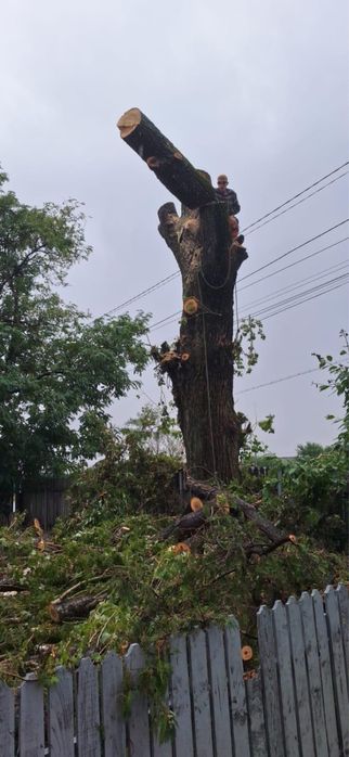 Alpinisti utilitari!Executam diferite lucrari la inaltime!!