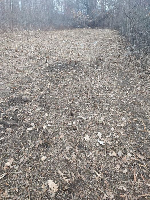 Prestări servicii defrisat