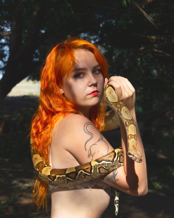 Змеи для фотосессии