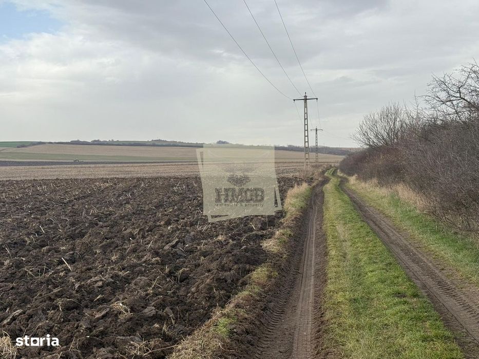 Teren extravilan in EXCLUSIVITATE 20300 mp in Sura Mica