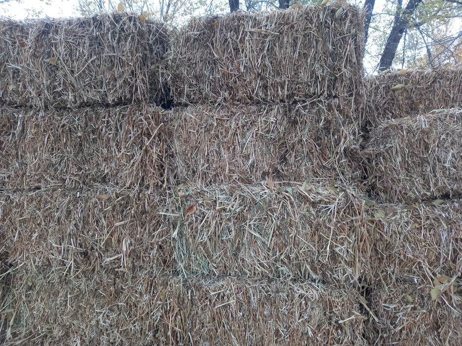 Продам сено а тюках