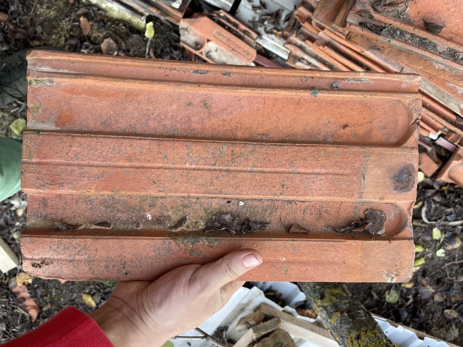 Țiglă veche, 80 de bani