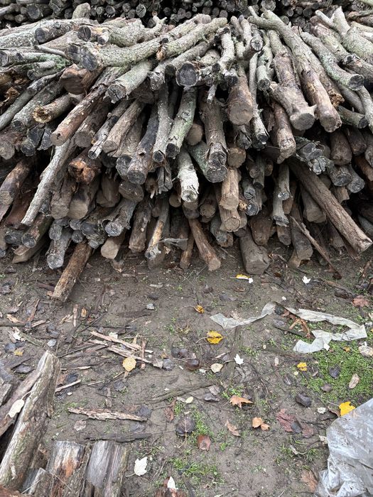 Салкъмови колове