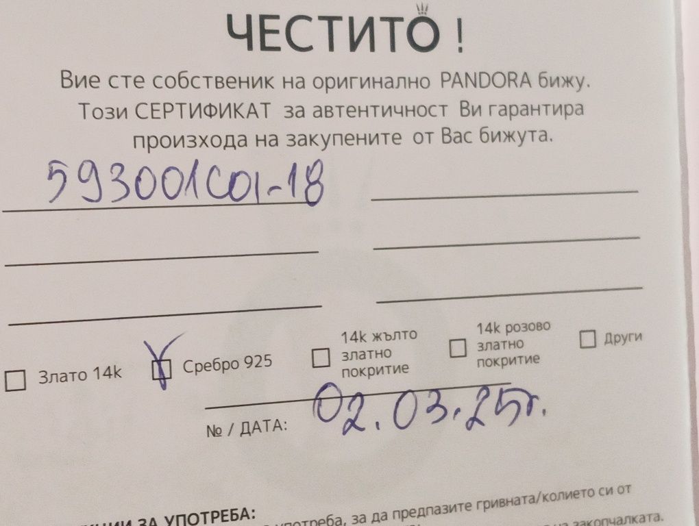 Сребърна нова гривна на Pandora