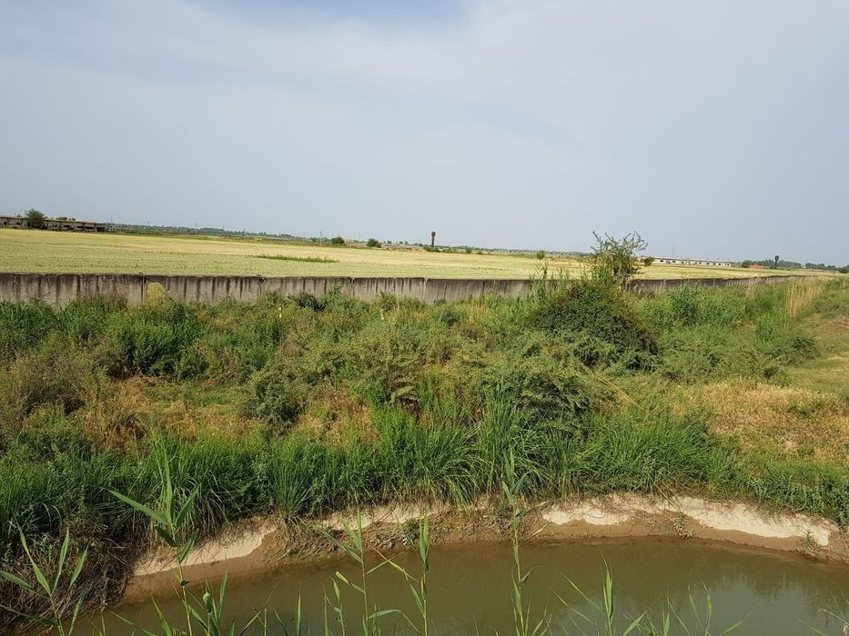 Продаётся ферма 34 га Ташкентская область