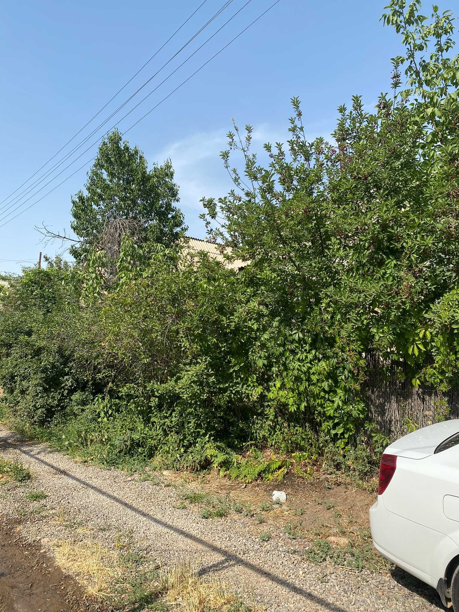 Mayskida 6 sotix dacha yer hisobida sotiladi , havosi toza