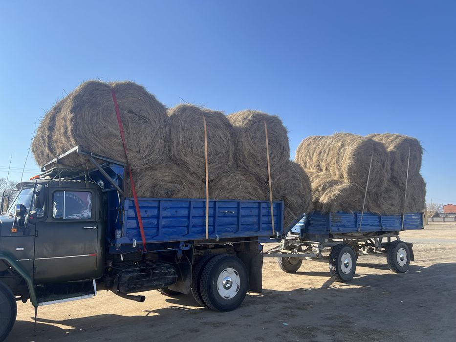 Сено в рулонах с доставкой