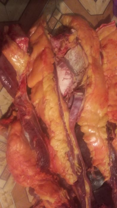 Согым продам согым