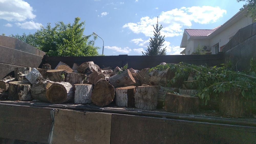 Спил деревьев и кустарников, спилить дерево и кустарники