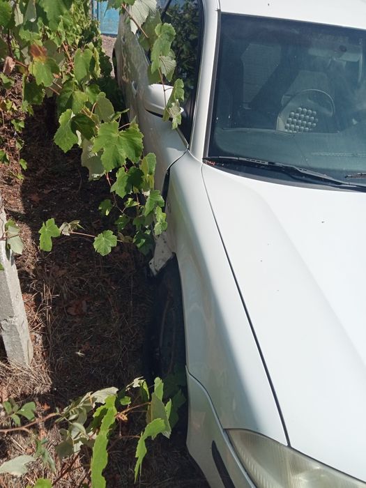 Pentru piese - Volkswagen Passat 2002 1.9tdi 101cp lovit dreapta