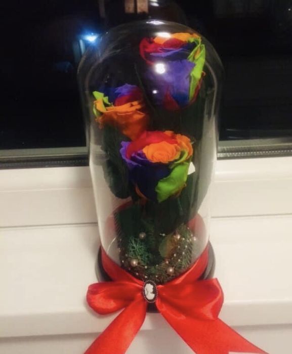 Trandafir multicolor in cupola