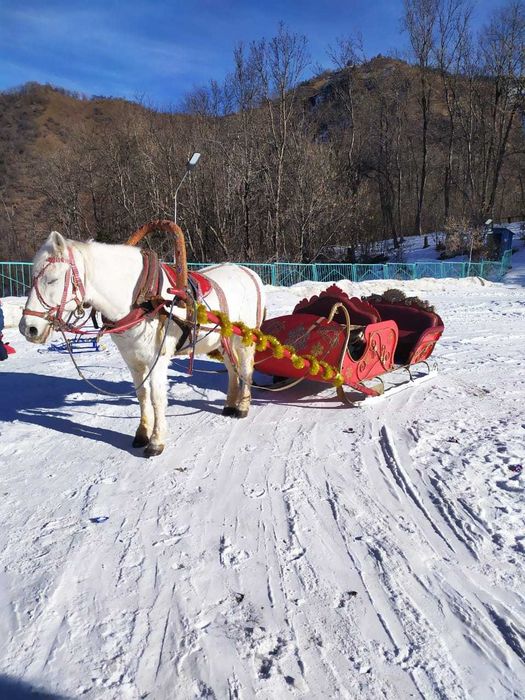 сани большие продам