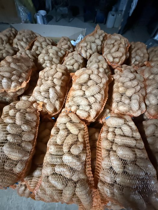 Cartofi albi soi:prada