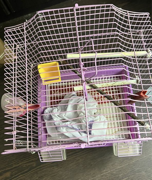 Cuști pentru păsări