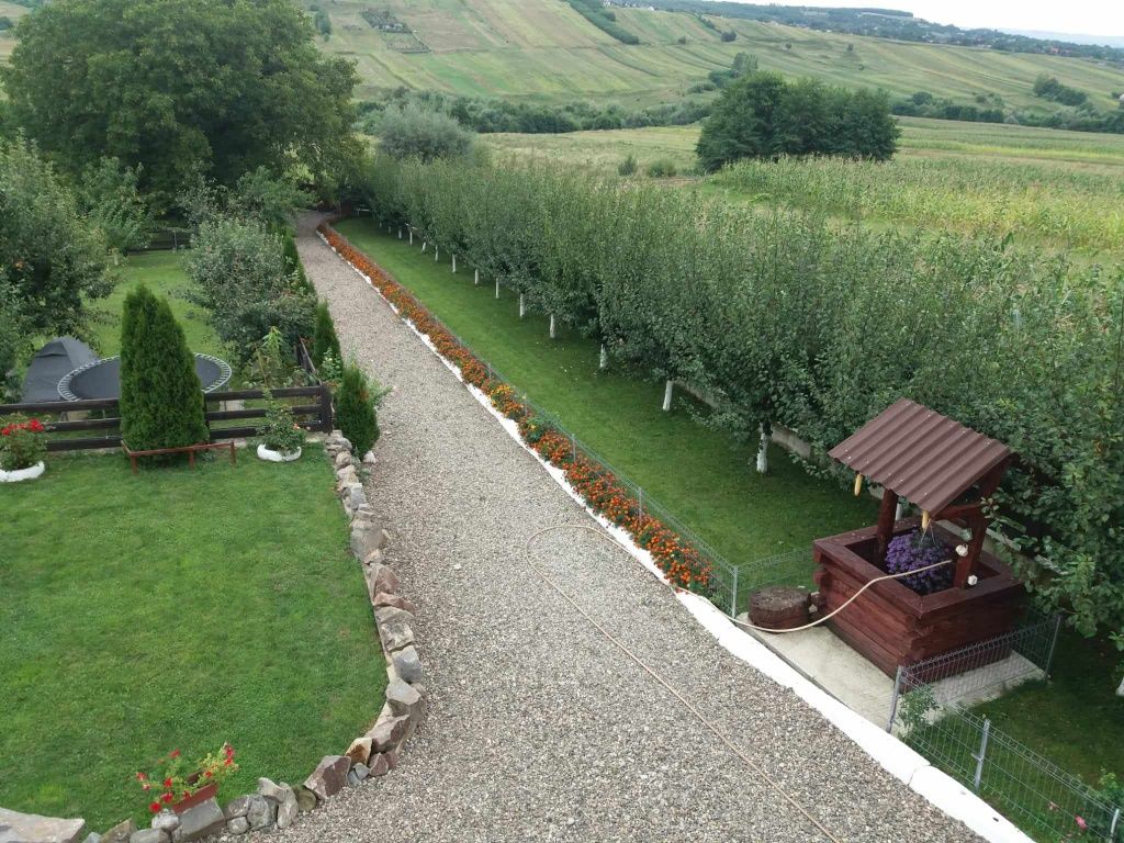 Vand proprietate" Bucovina mica "