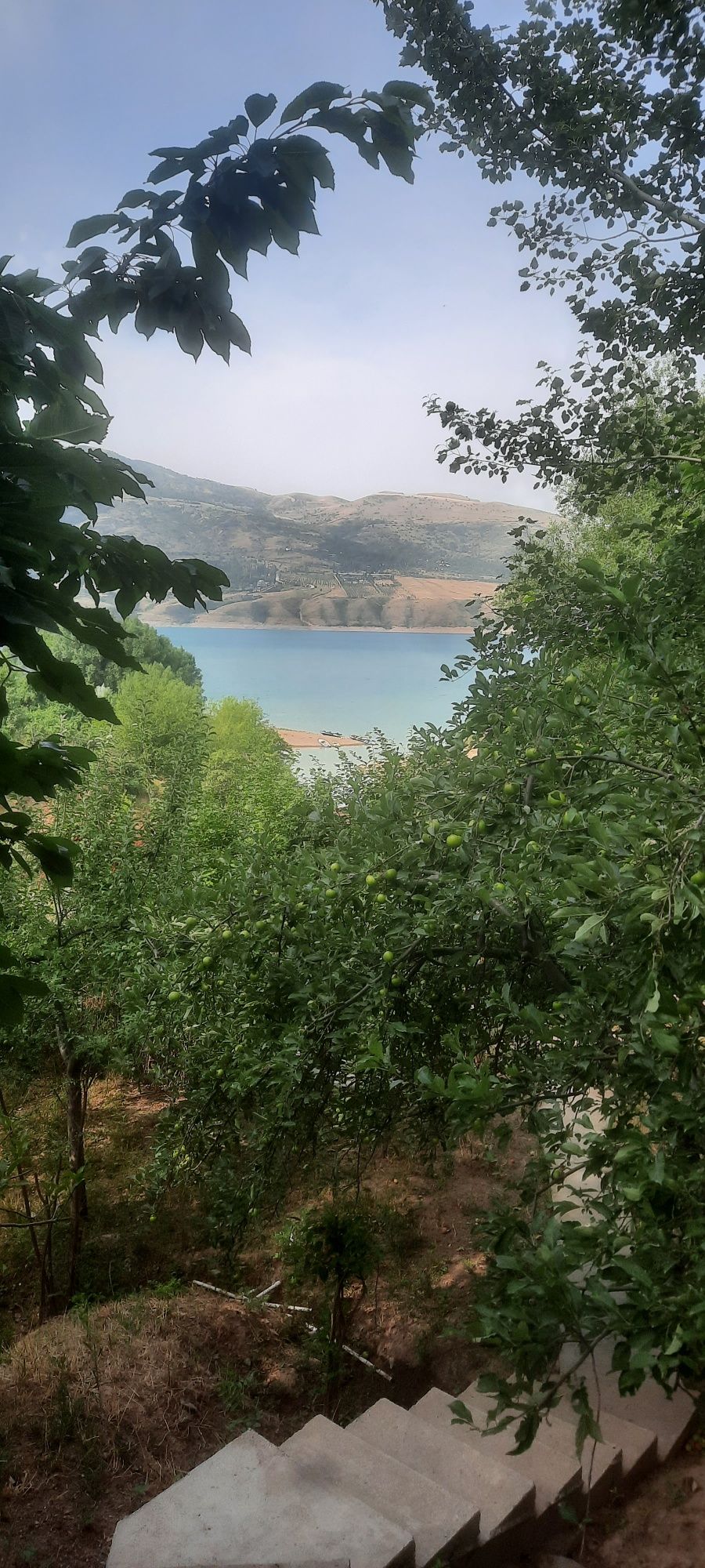Оилавий дача Бричмуллода