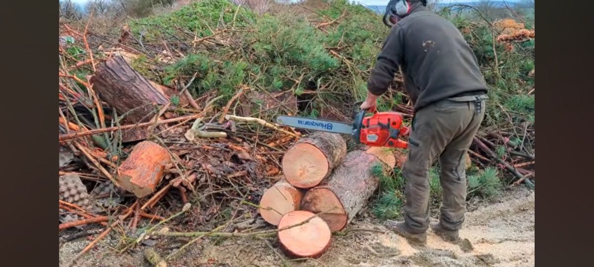 Обрезка деревьев спилить дерево дарахт кесиш хизмати бензопила услуги
