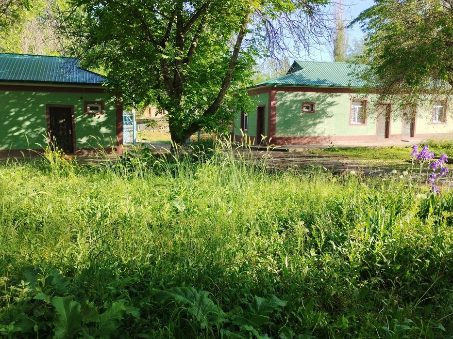 Зона отдыха туристический обект