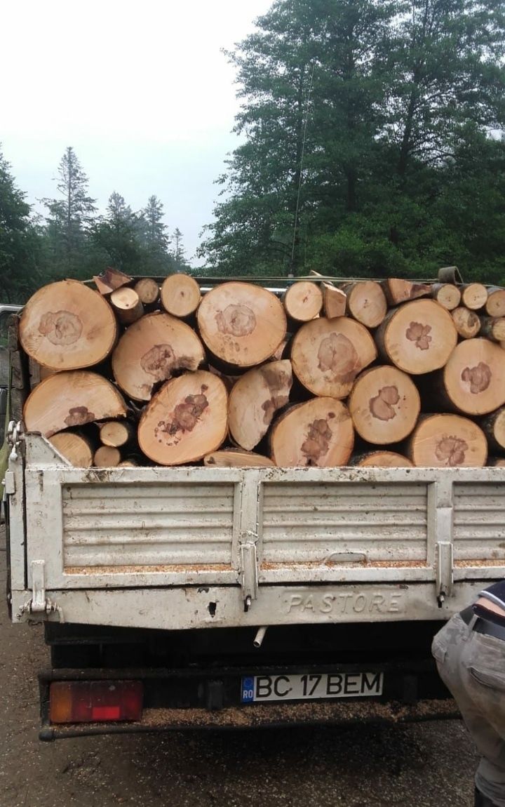 Vând lemne de foc esență tare