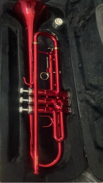 Trompeta mendini cu husa, accesorii intretinere si mustiuc 7c