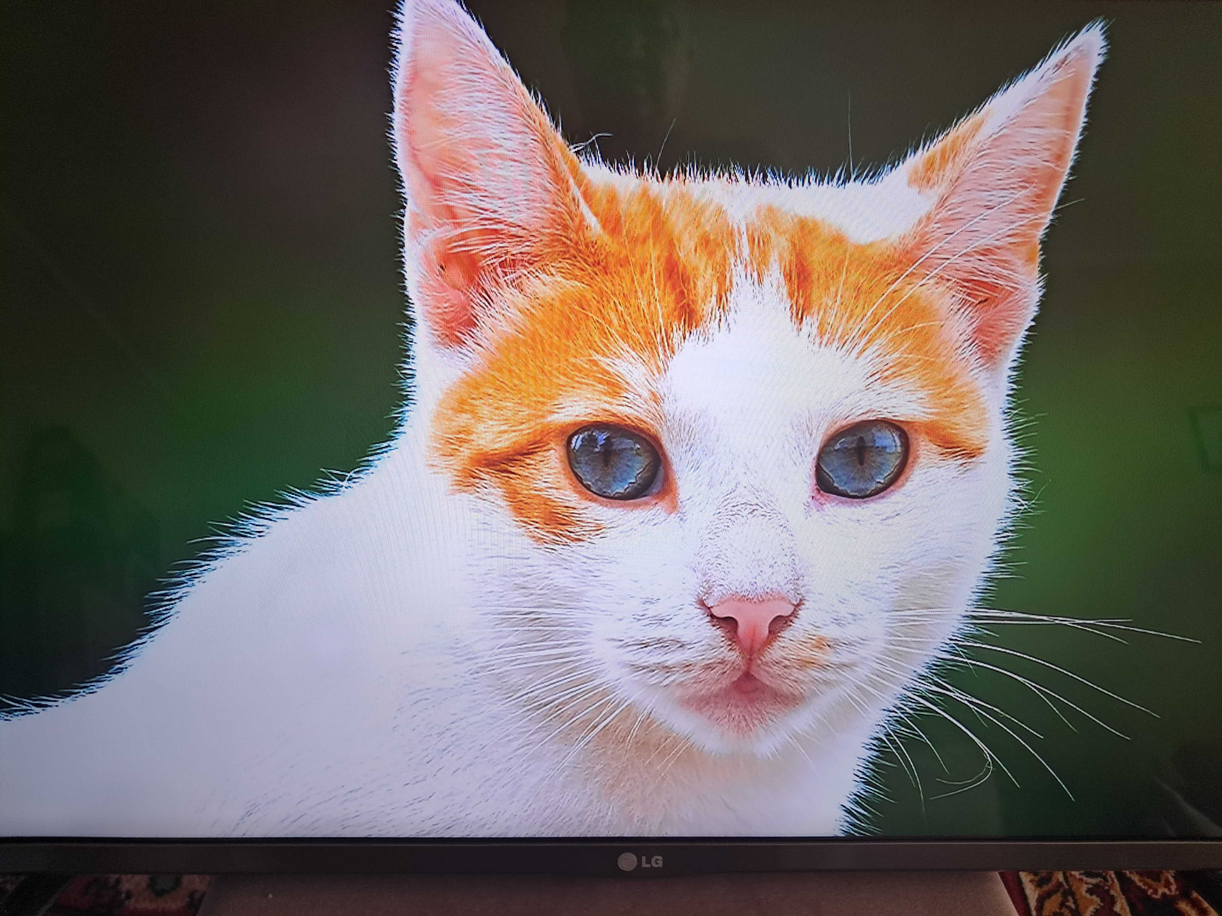 Телевизор TCL 32 смарт 82см диагональ .