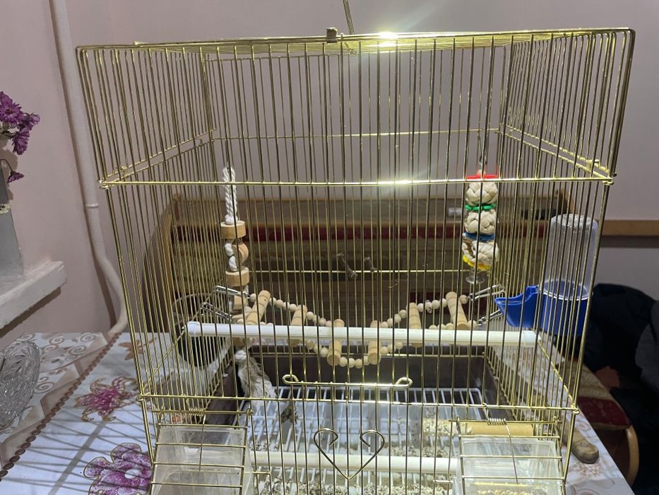 Клетка для попугая