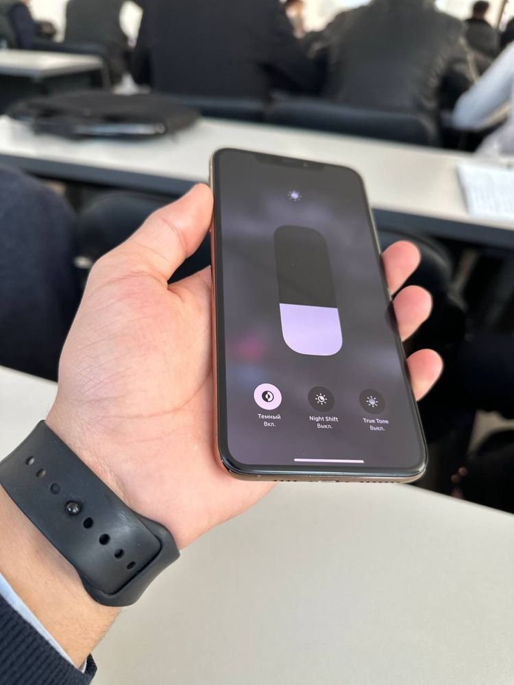 Xs max garantiya gold