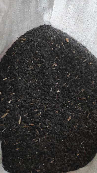 Продам семечки кормовые