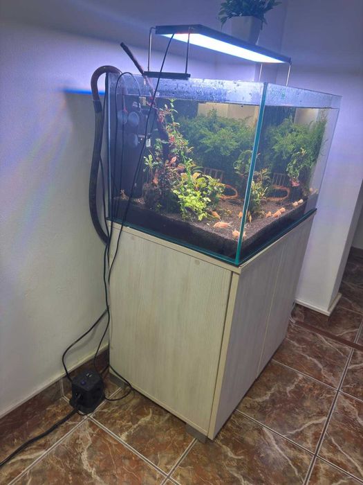 Acvariu 117 litri cu stand