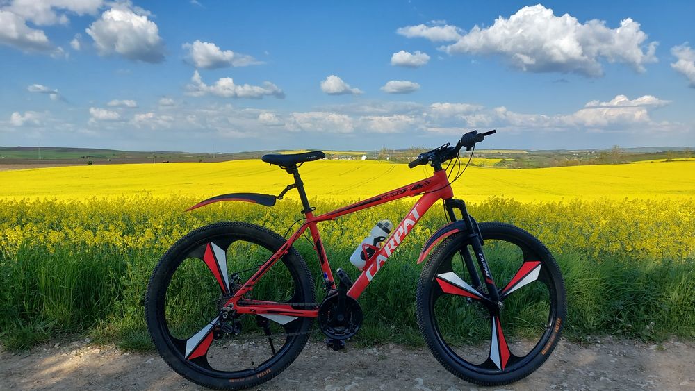 Vând bicicleta Carpat