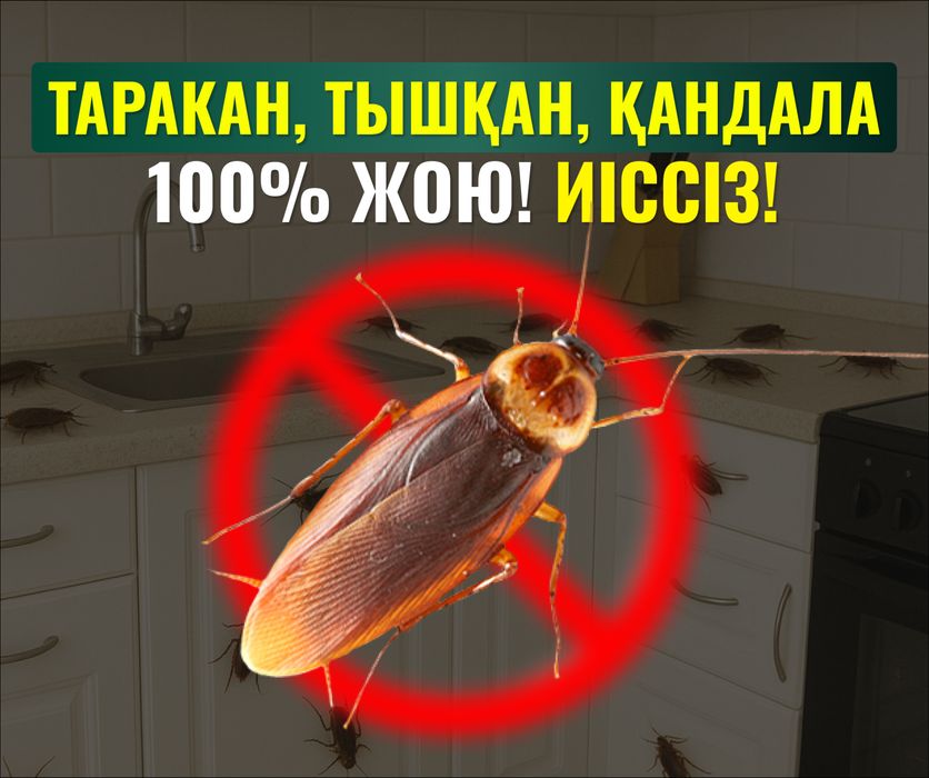Дезинфекция, Дизинфекция, Шымкент без запаха, тараканы, клапы, муравей