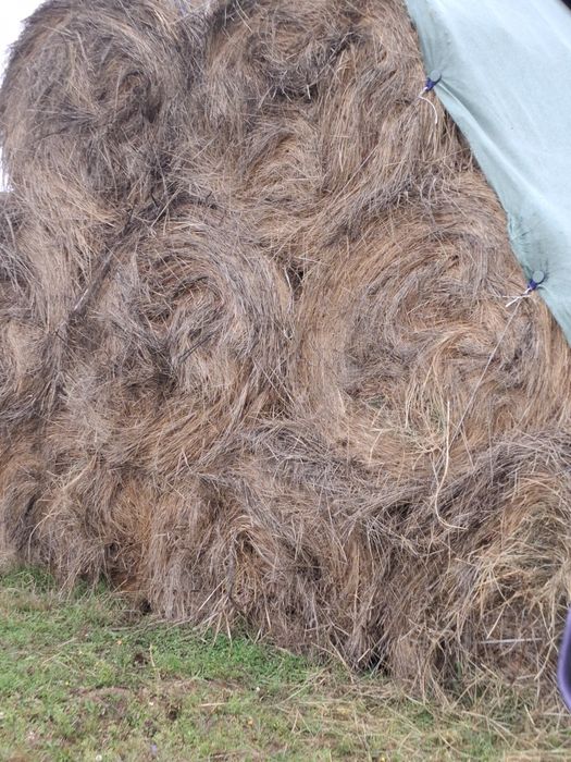 Vand schimb baloti rotunzi de fan