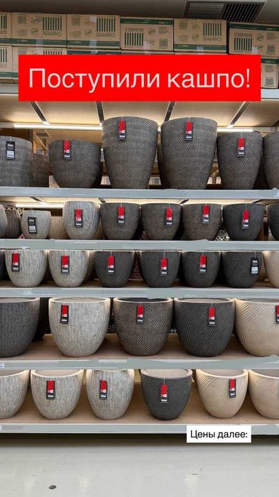 Кашпо для цветов и растений, как из пинтерест