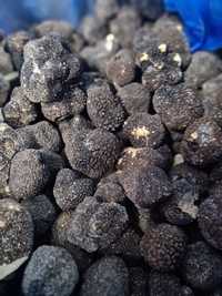 Black Truffle trufe congelate de toamna