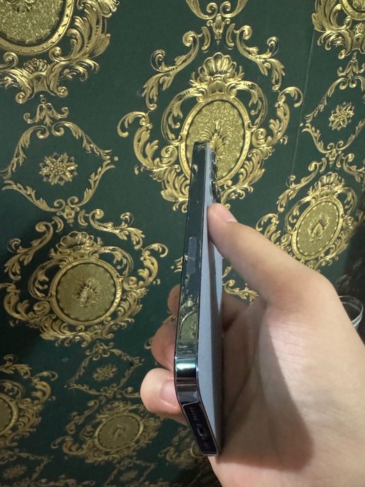 iPhone 13 pro LL/A
