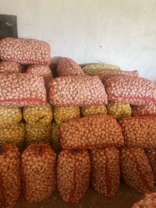 Se vinde usturoi de primăvară