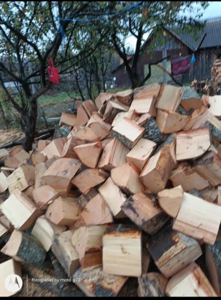 Vind lemne de foc  esență tare doar fag curat