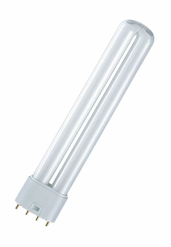 Osram Dulux  L 36 W