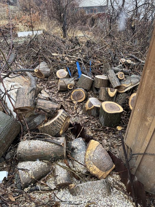 Дрова ореха бесплатно