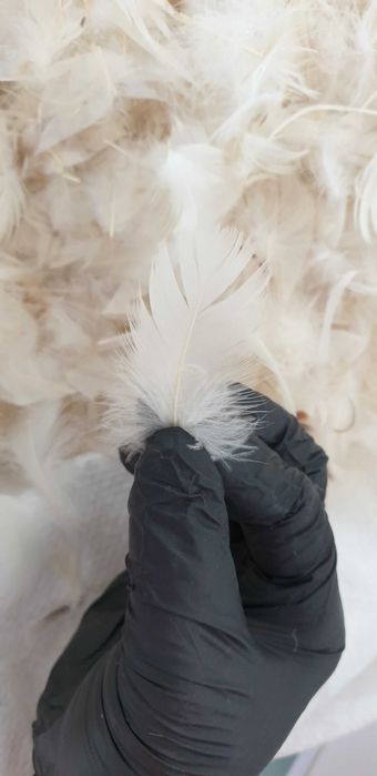 Perne cu fulgi de gasca