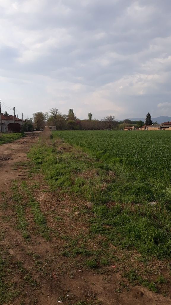 Продава се Парцел в с. Мало Конаре, Област Пазарджик - 13150 кв.м за 5 €/кв.м - Снимка #3