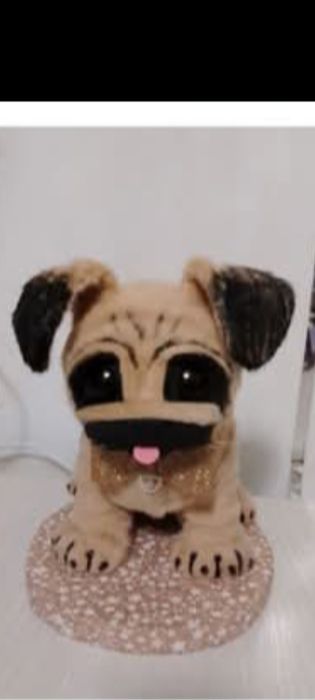 Продам  Мопса в наличии