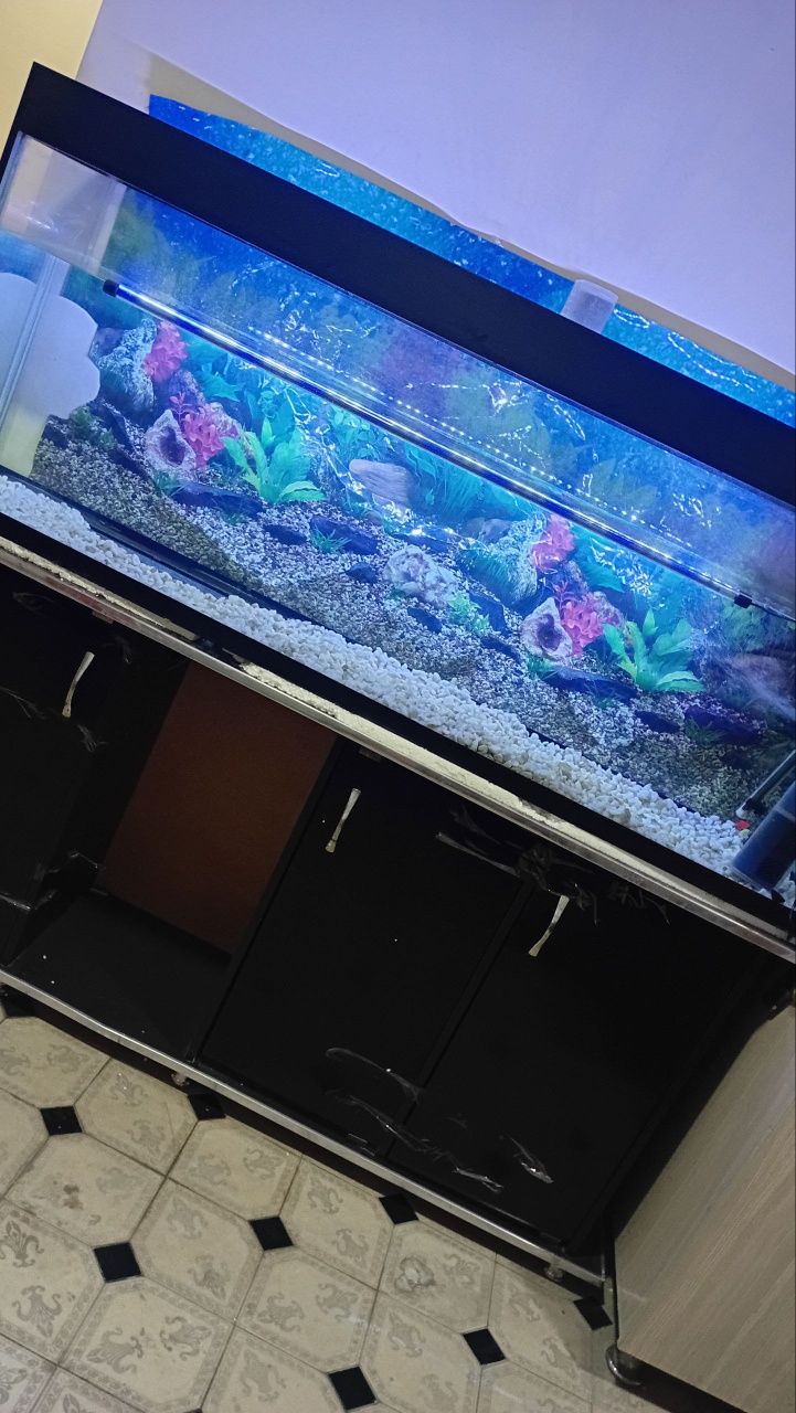 Akvarium Evro Kronka 10mm 160×40×70