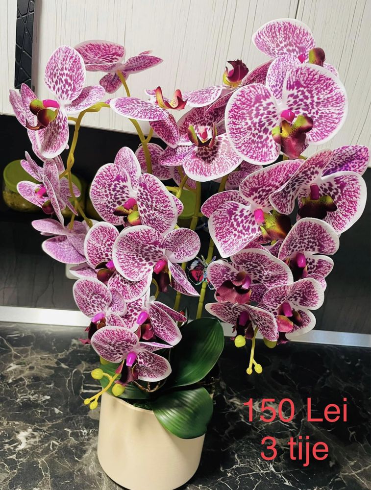 Orhidee silicon ( real touch ) / flori / aranjamente