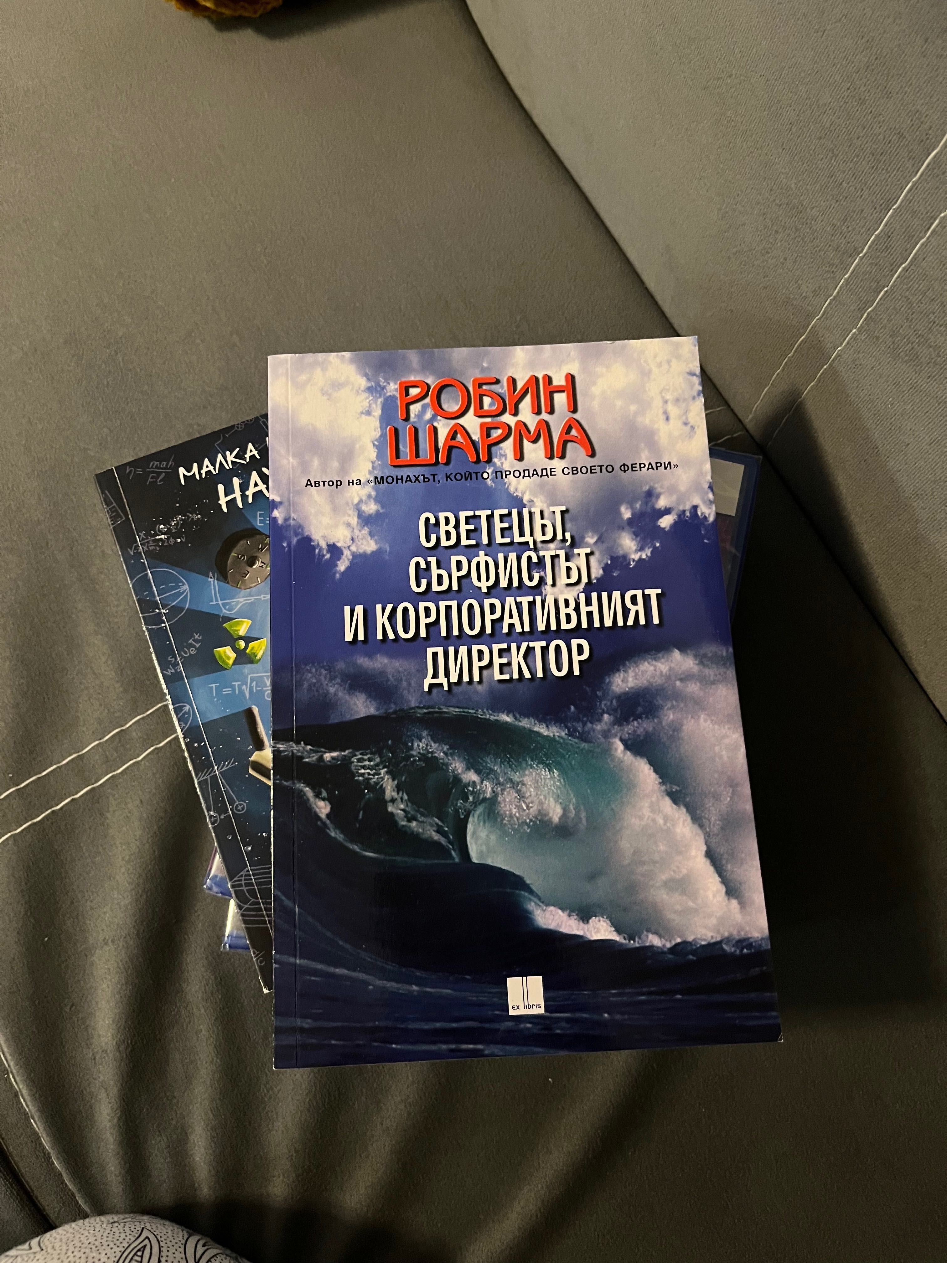 Светецът,сърфистът и корпоративният директор/Робин Шарма