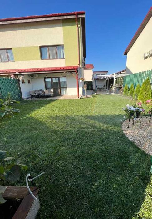 Gazon Rulou Sport / Premium