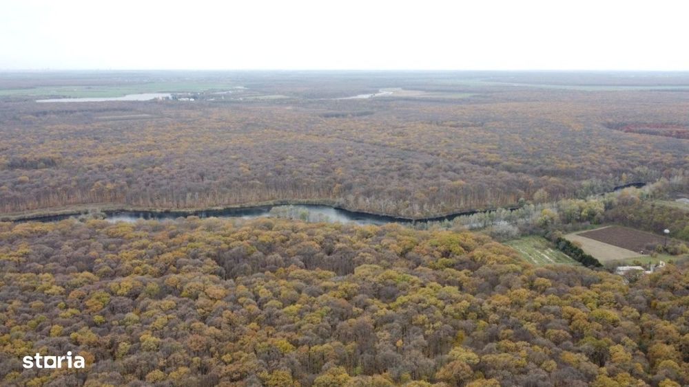 Teren situat langa Padure l Balta Neagra