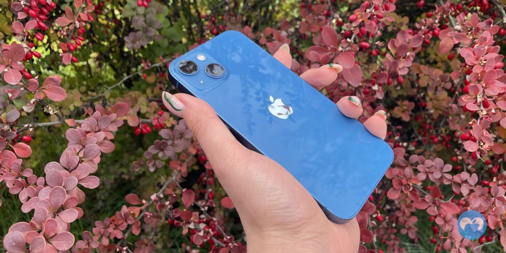 iphone 13 обмен,продажа